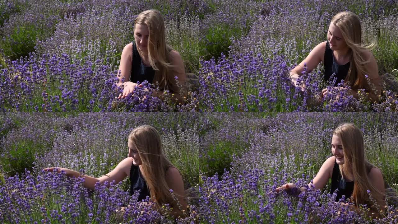 女孩抚摸着，在田野里嗅着紫色的薰衣草花。女人在夏天的阳光下温柔地拿着薰衣草。薰衣草花盛开。芳香疗法，