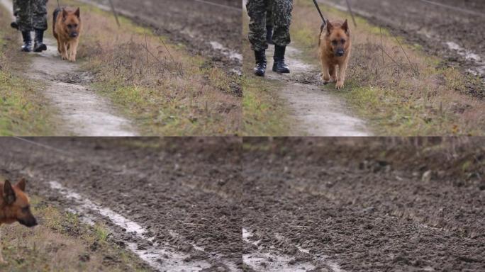 士兵和德国牧羊犬一起散步