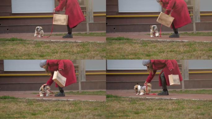 穿红色长外套的女孩和穿夹克的狗一起散步宠物