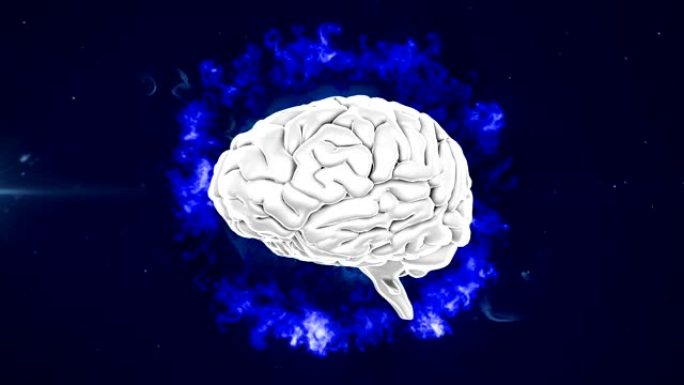 3d人脑在黑色背景上旋转的蓝色地球上的动画