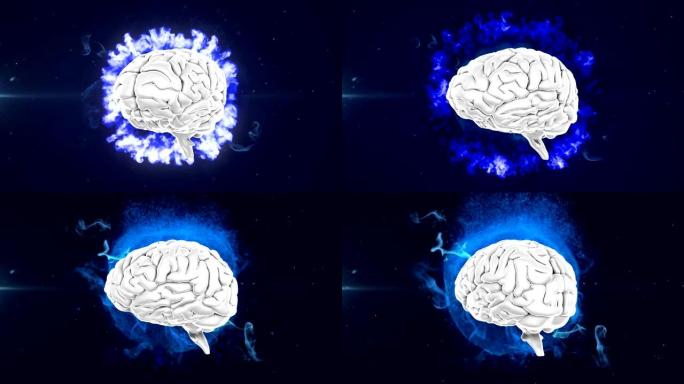 3d人脑在黑色背景上旋转的蓝色地球上的动画