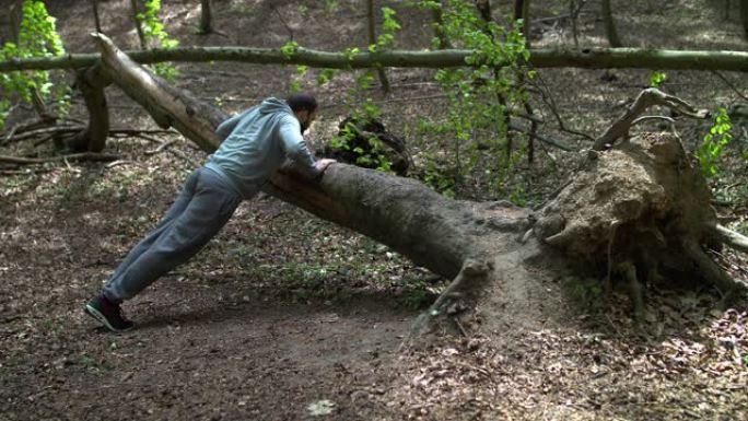 SloMo: 大胡子的年轻人在茂密的森林里对着倒下的树做俯卧撑