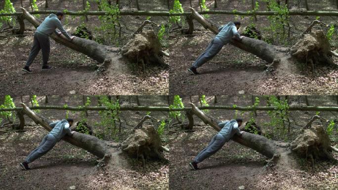 SloMo: 大胡子的年轻人在茂密的森林里对着倒下的树做俯卧撑