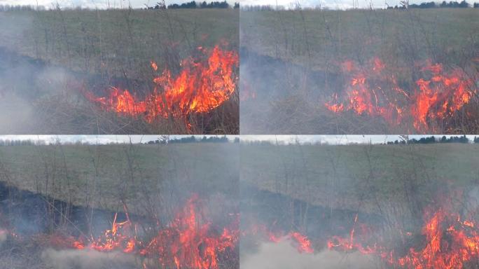 在干草中蔓延大火。