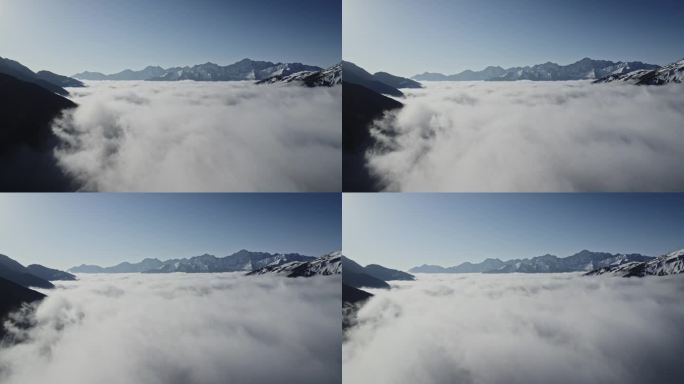 巴朗山云海视频