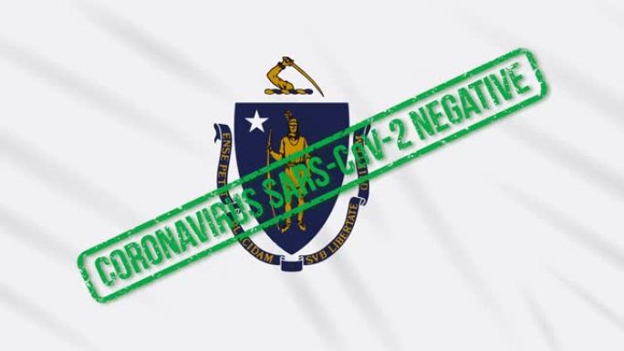 美国马萨诸塞州摇摆的旗帜上印着免受冠状病毒感染的绿色印章，循环
