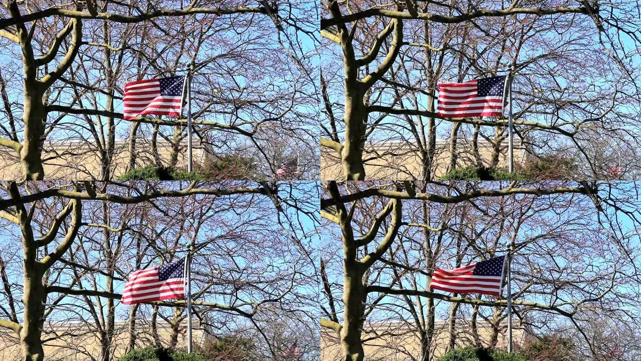 两面美国国旗在风中飘扬