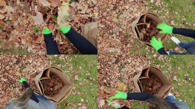 捡起树叶，放在头顶的袋子里