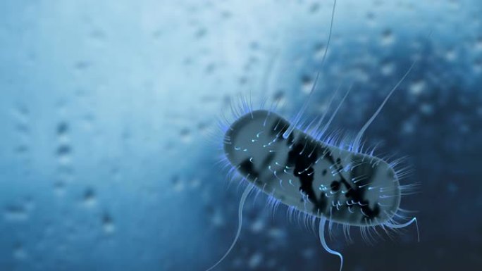 运动中的细菌大肠杆菌细菌。具有景深的美丽3d动画。