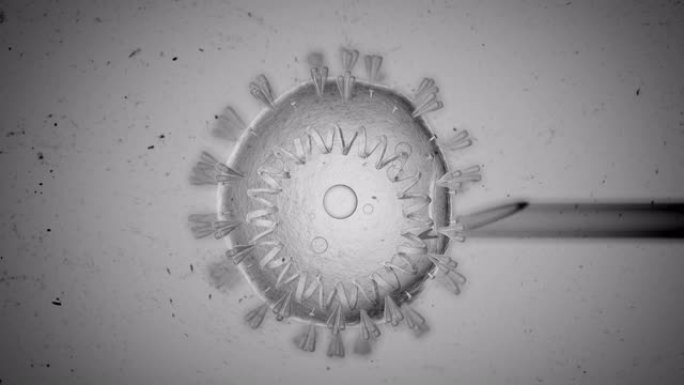 电晕病毒新型冠状病毒肺炎透明细胞在显微镜下通过针注射。科学实验概念