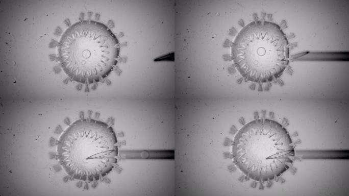 电晕病毒新型冠状病毒肺炎透明细胞在显微镜下通过针注射。科学实验概念