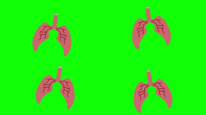 肺部手绘绿色屏幕。浮动循环动画