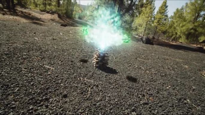 VR闪电效应对森林中部的松果