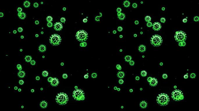 像新型冠状病毒肺炎病毒或流感病毒一样的冠状病毒的绿色发光全息图像在空中飞行或在黑色背景上平滑漂浮。4