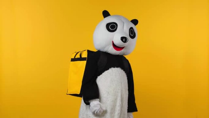 穿着熊猫熊服装的人，背包在黄色上孤立运行