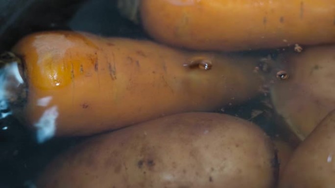 健康去皮的胡萝卜和土豆在平底锅中加水特写