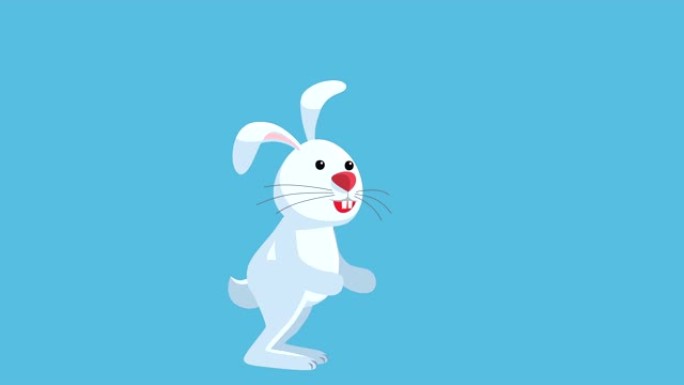 白野兔兔子跳跃卡通孤立动画