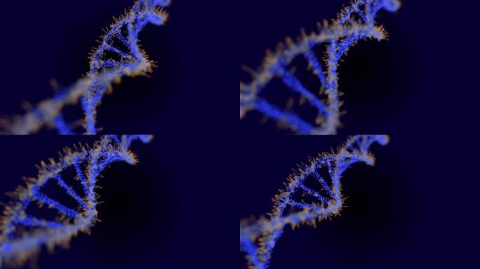 丛DNA分子模型，3D渲染在黑暗背景中旋转的DNA