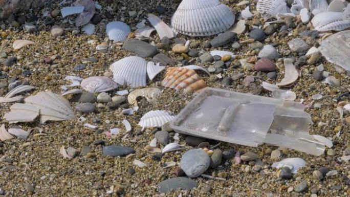 日本太平洋沙滩上的塑料和贝壳