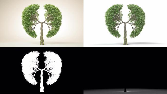 地球的肺。生长成肺部形状的树。生态概念。