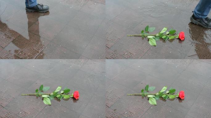 由于与心爱的人会面失败，一名走在水坑中的男子在路上扔了一朵玫瑰