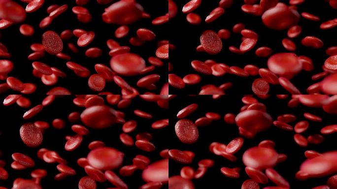 红血球在黑色背景上移动，特写。3D渲染