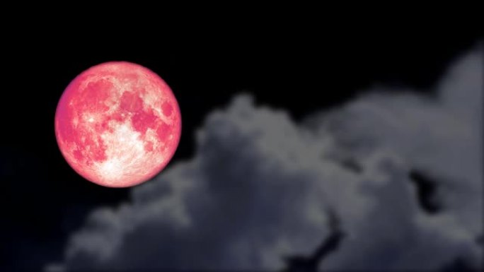 满满的粉红色月亮回到夜空和模糊云移动通行证