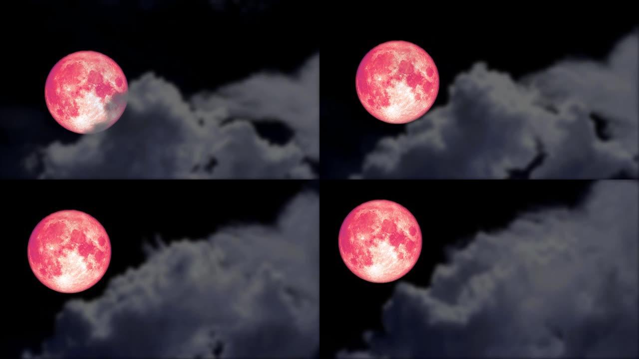 满满的粉红色月亮回到夜空和模糊云移动通行证