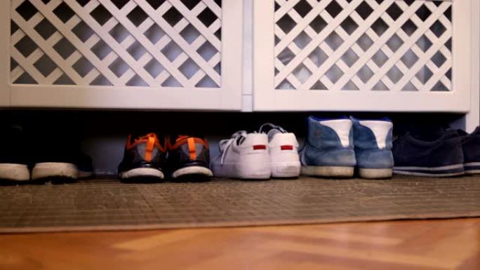 家用鞋带家庭储物空间的鞋架