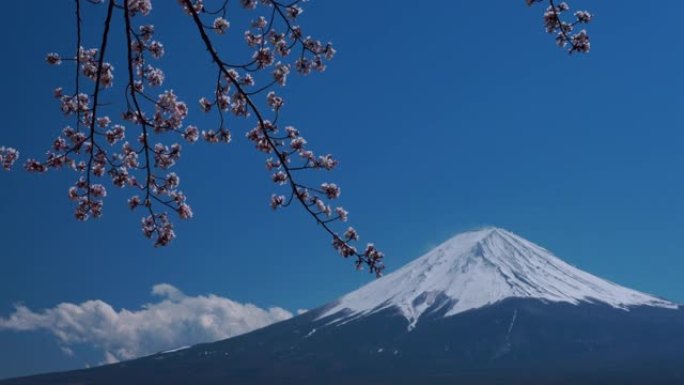 4k视频: Mt。日本河口子藤吉田的富士。