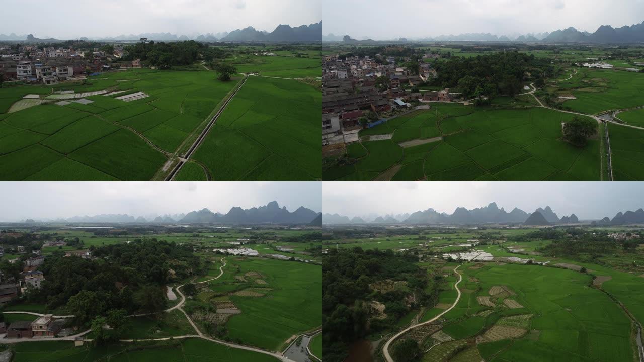 中国桂林喀斯特山区稻田的航拍视频
