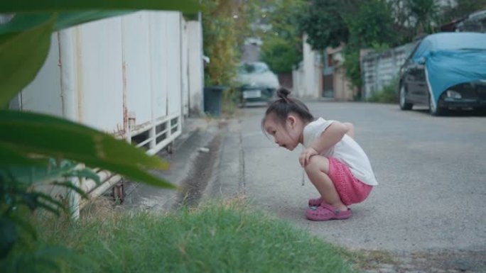 快乐的亚洲女孩正在房子的墙外与他的祖父和法国斗牛犬一起寻找一只猫。