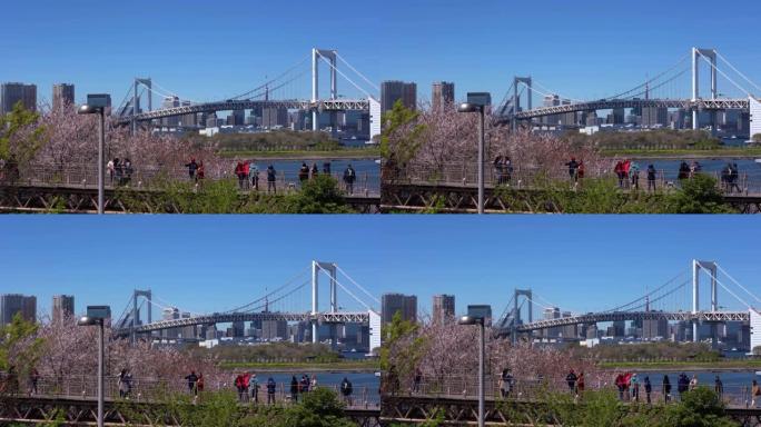 4k视频: 彩虹桥和Minato的视图，来自东京的台场