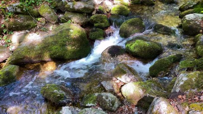 穿过森林的山涧宁静山野山泉泉水静静流淌