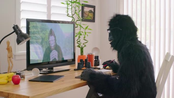 大脚野人和大猩猩在线视频会议