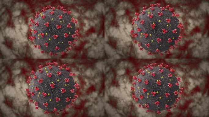 冠状病毒细胞攻击内脏器官的宏动画。