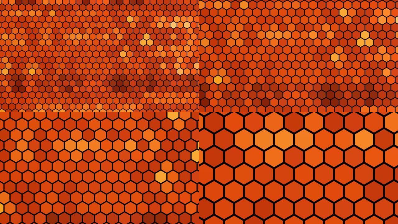 蜜蜂的蜂巢，对一对橙色的肺泡进行深度缩放-动画