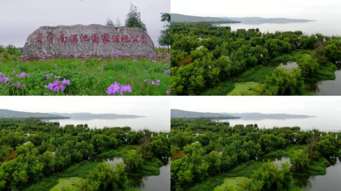 晋宁南滇池国家湿地公园