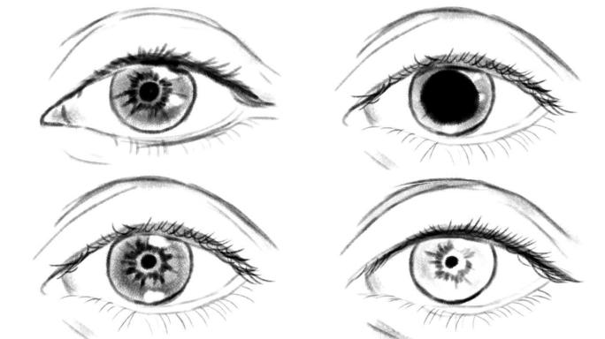 眼睛瞳孔的收缩和扩张