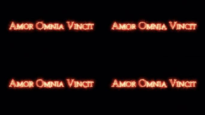用火写的阿莫尔·奥姆尼亚·文克。循环