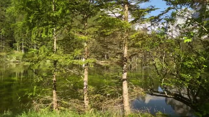 奥地利绿色湖山湖意境山水