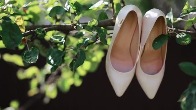 挂在树枝上的新娘鞋。米色结婚鞋