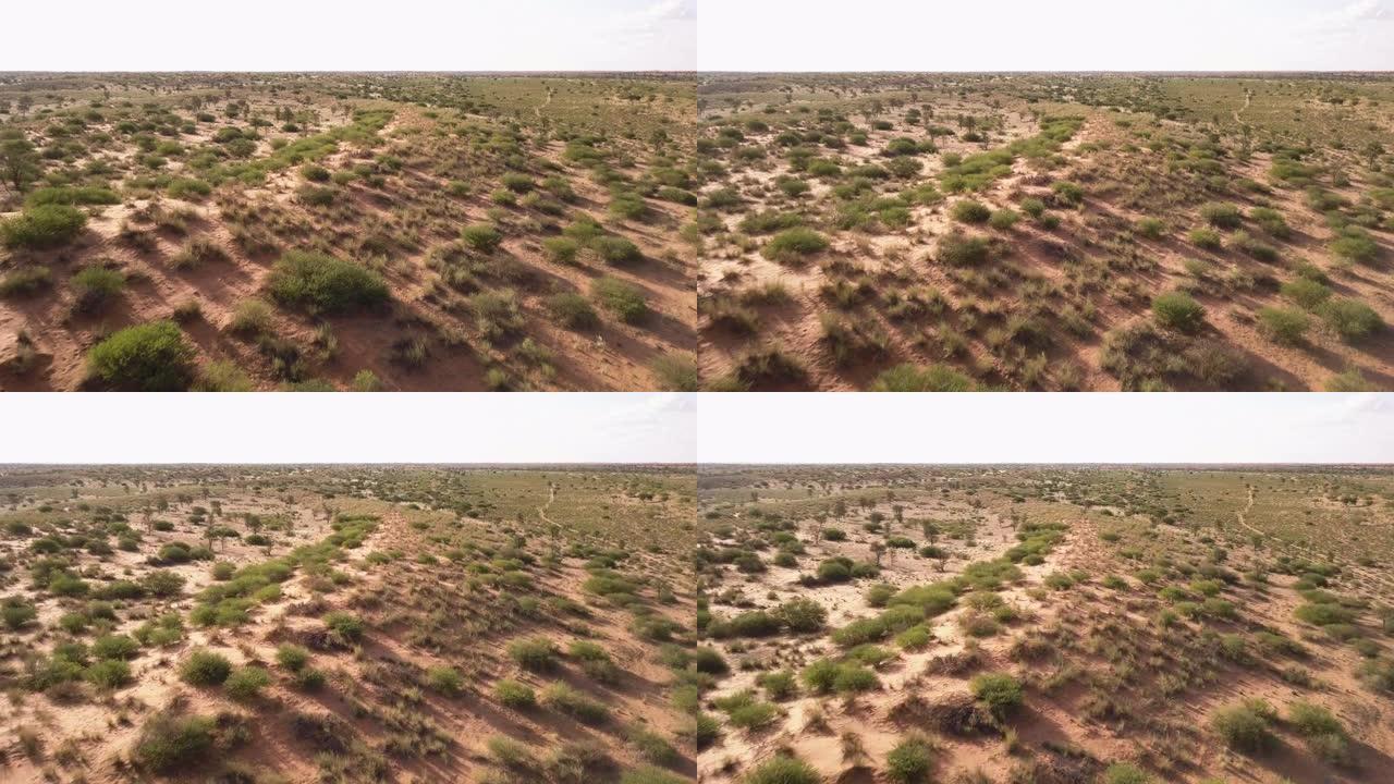 干旱沙漠景观的鸟瞰图