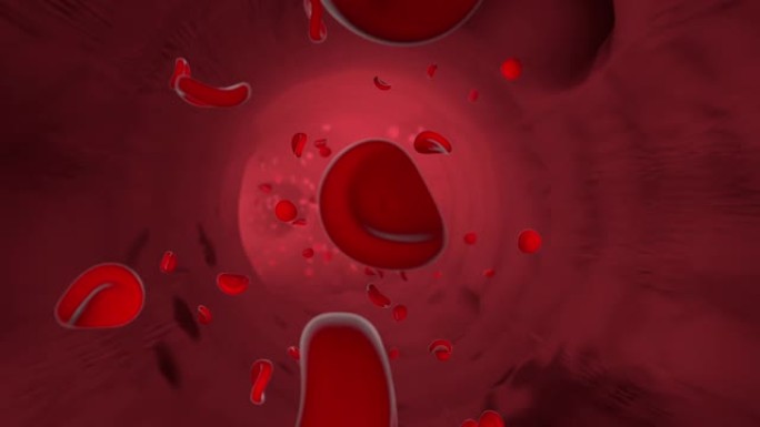流经血管回路的血细胞