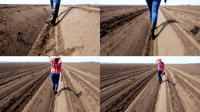 特写镜头，女农民在田间土壤行之间穿过深沟，用平板电脑测试马铃薯种植质量。现代农业。春天阳光明媚的日子