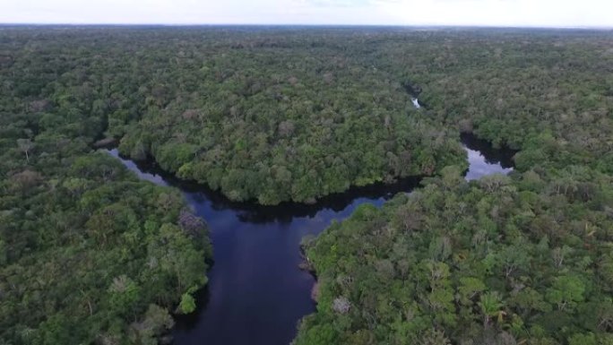 阿纳维勒哈那斯国家公园-亚马逊森林