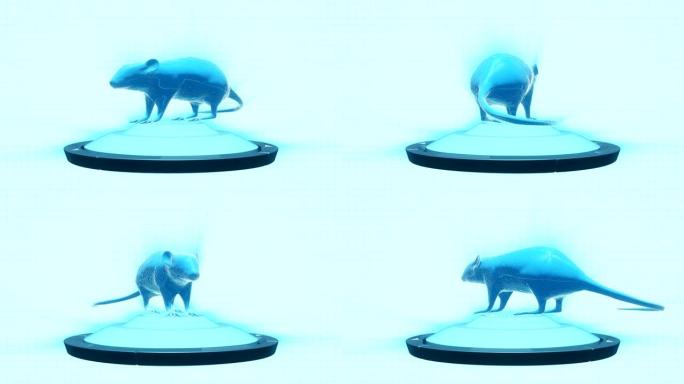 动物试验老鼠三维动画视频素材