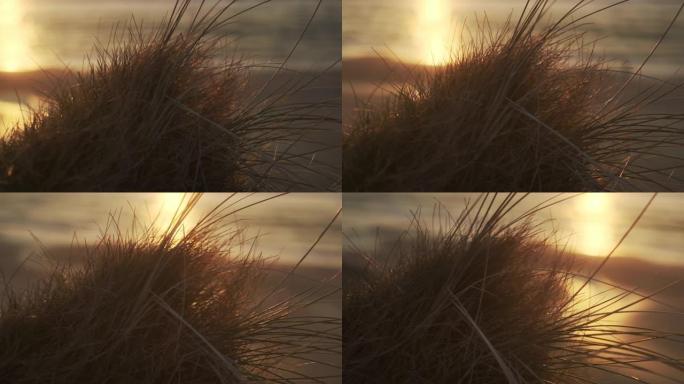在丹麦海岸的干草后面拍摄了美好的一天
