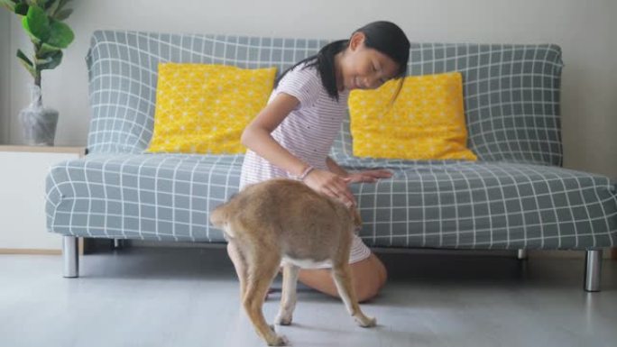 亚洲女孩在家里的地板上玩棕色小狗。
