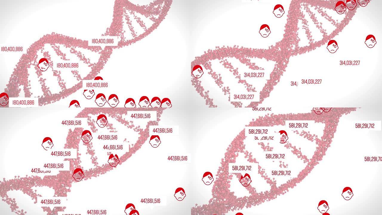 随着DNA菌株的增加，人脸图的动画